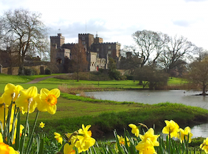 Powderham Castle