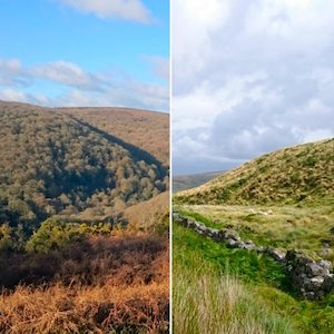 Dartmoor and Exmoor National Parks